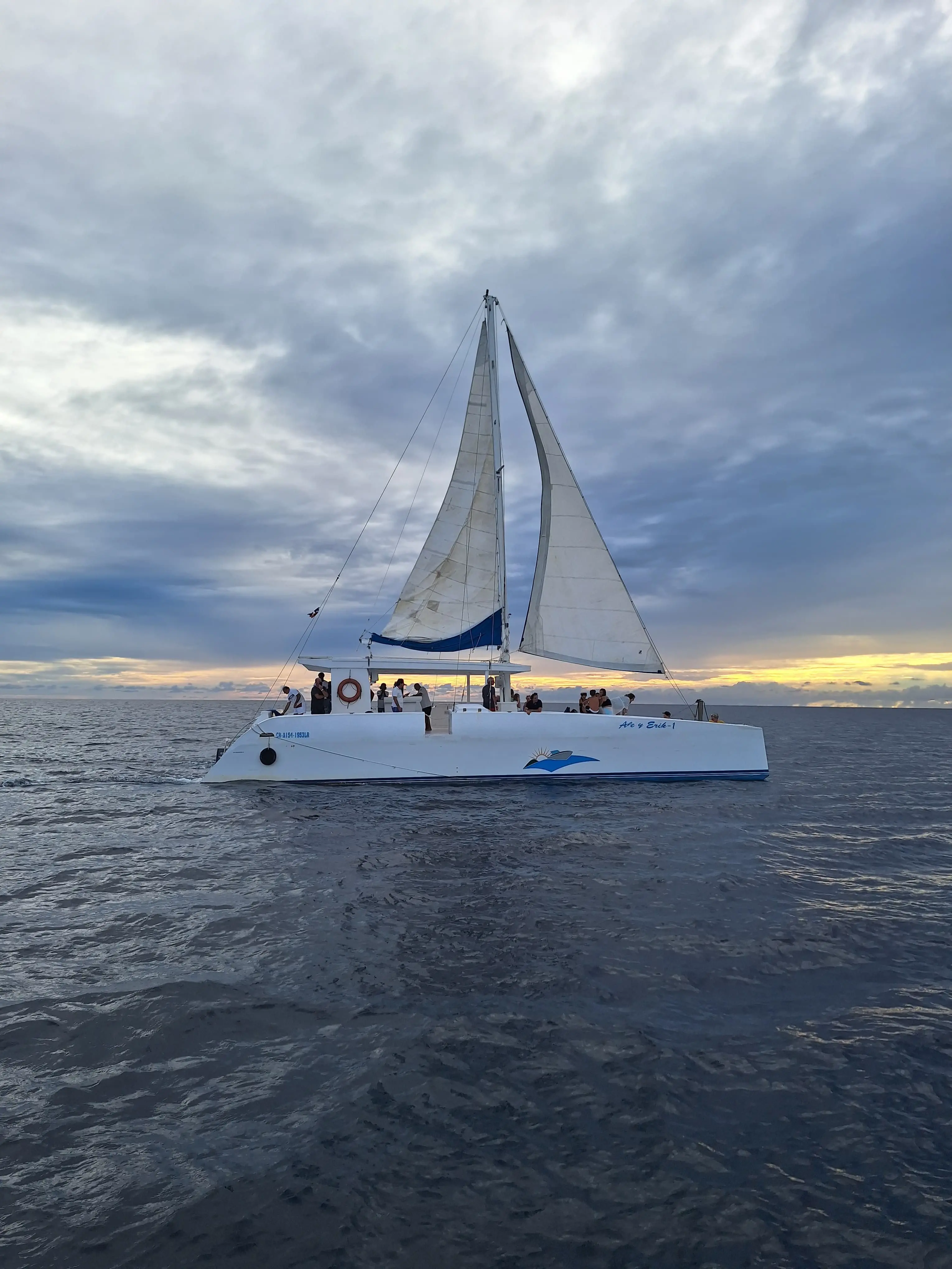 Catamaran image