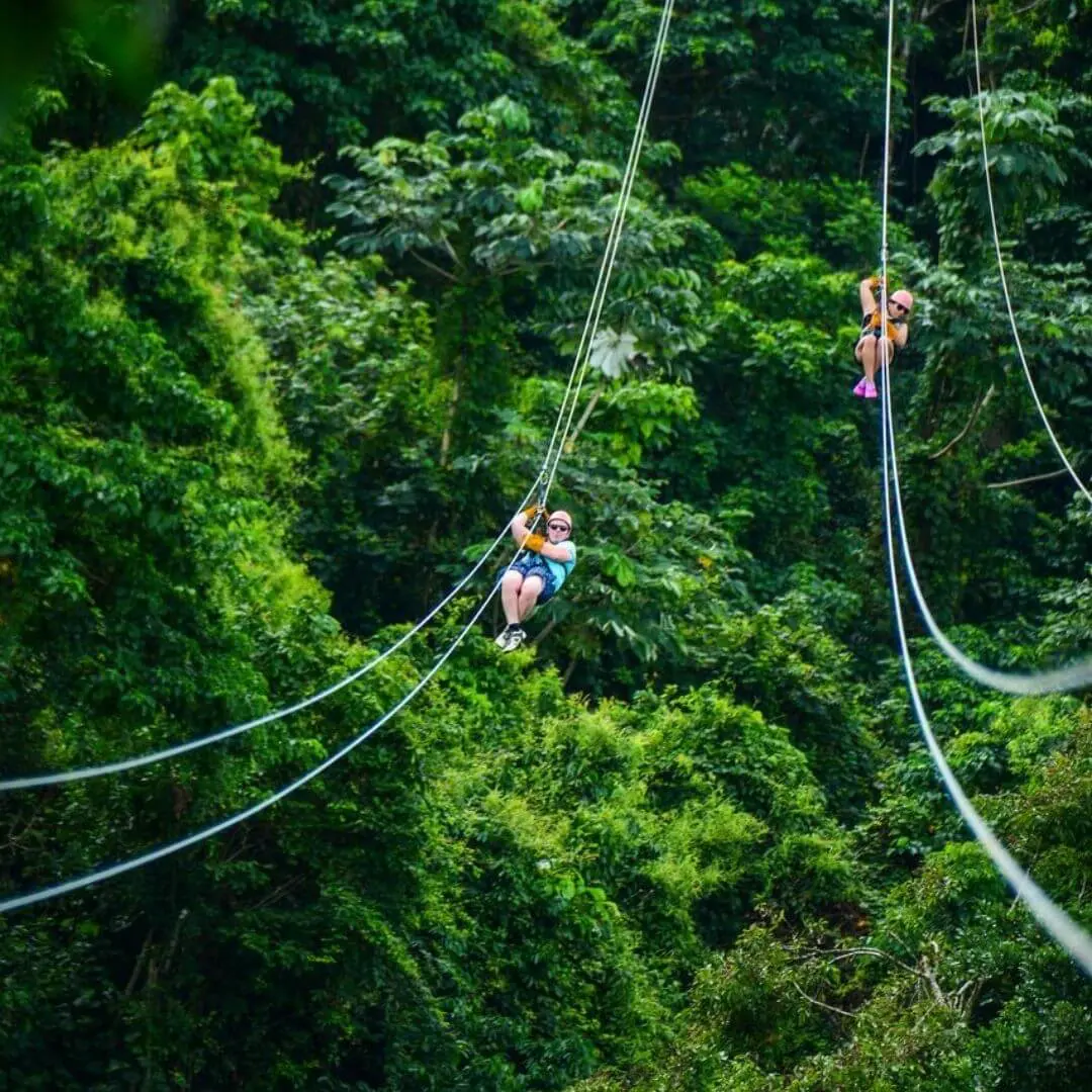 Zipline Adventure