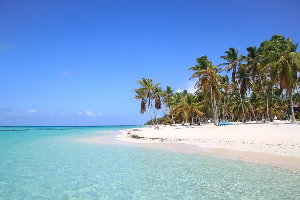 Saona Island Canto de la Playa