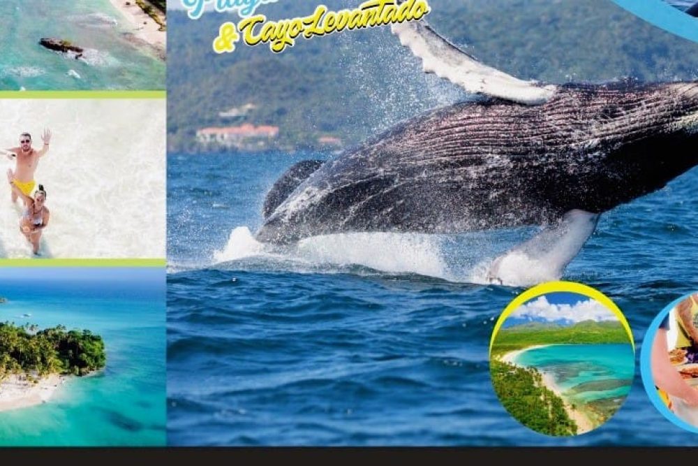 Avistamiento de Ballenas + Cayo Levantado