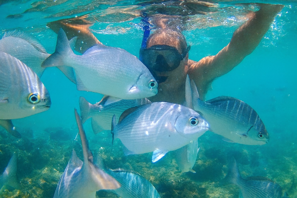 ChatGPT Image 27 nov 2025, 14_37_18